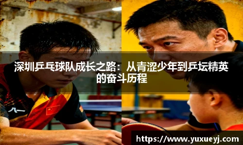 深圳乒乓球队成长之路：从青涩少年到乒坛精英的奋斗历程